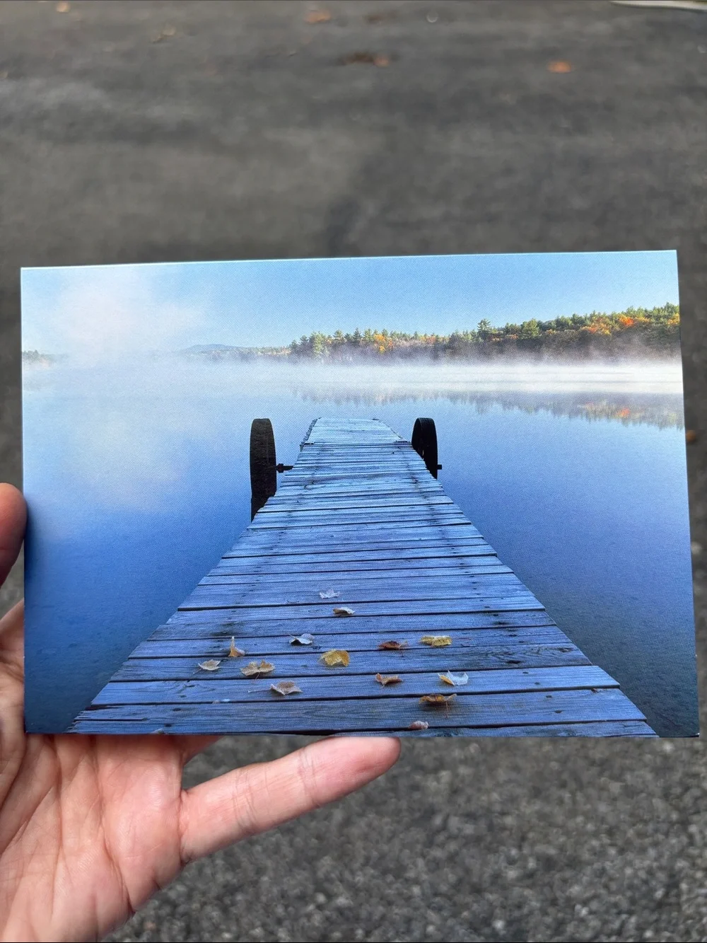 ~BUNDLE ONLY~VTG Ronnie Sellers Photographic Note Cards & Envelopes 6 Lakes/Dock